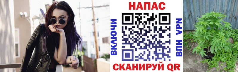 Все наркотики Североуральск Амфетамин КОКАИН МЕГА как зайти Канабис A-PVP МЕФ Псилоцибиновые грибы