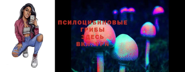 круглые Алзамай