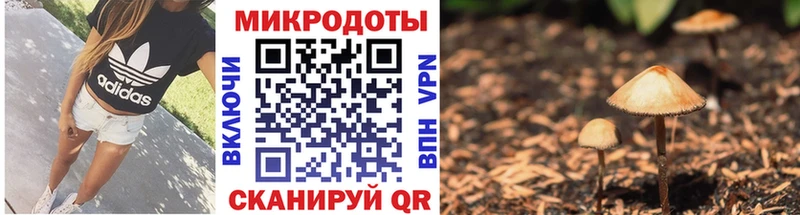 Галлюциногенные грибы Cubensis  закладка  Североуральск 