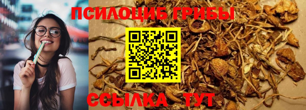 дарнет шоп  Вход с VPN  Галлюциногенные грибы MAGIC MUSHROOMS  Североуральск  Псилоцибиновые грибы мухоморы 
